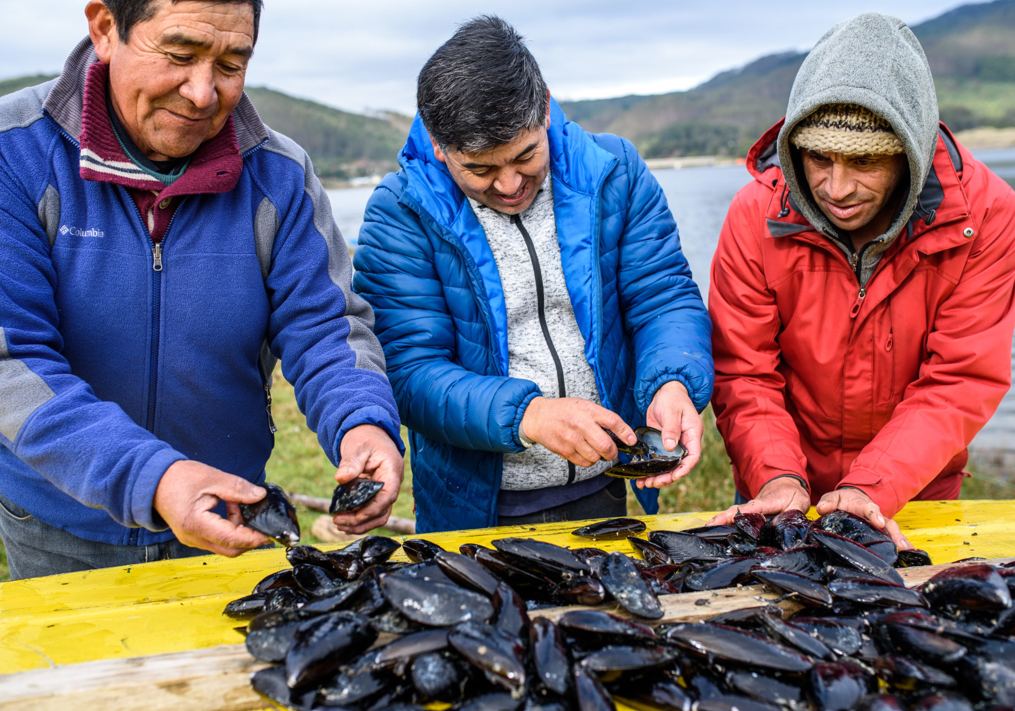 Diversificación de la pesca artesanal y turismo comunitario en la Región de Los Ríos