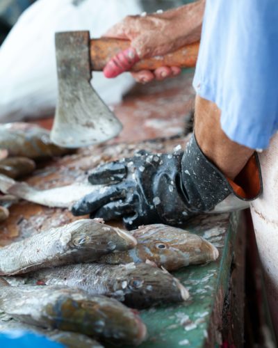 Pescados de descartes: Caldo de herradura o jurel al curry