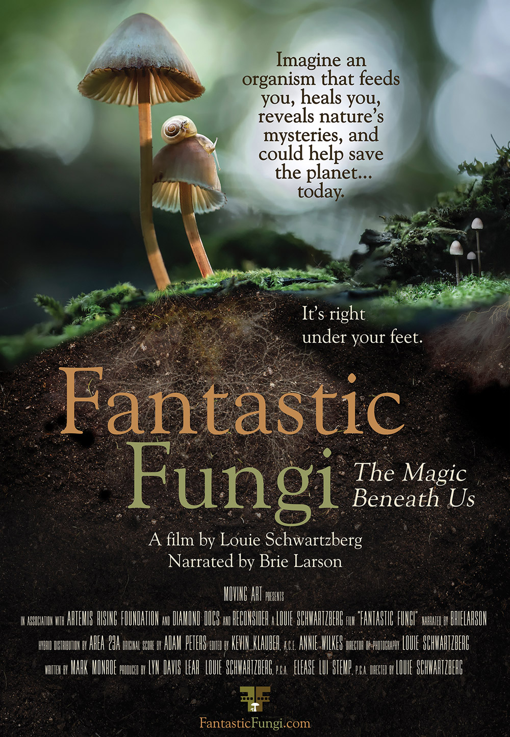 Fantastic Fungi Poster