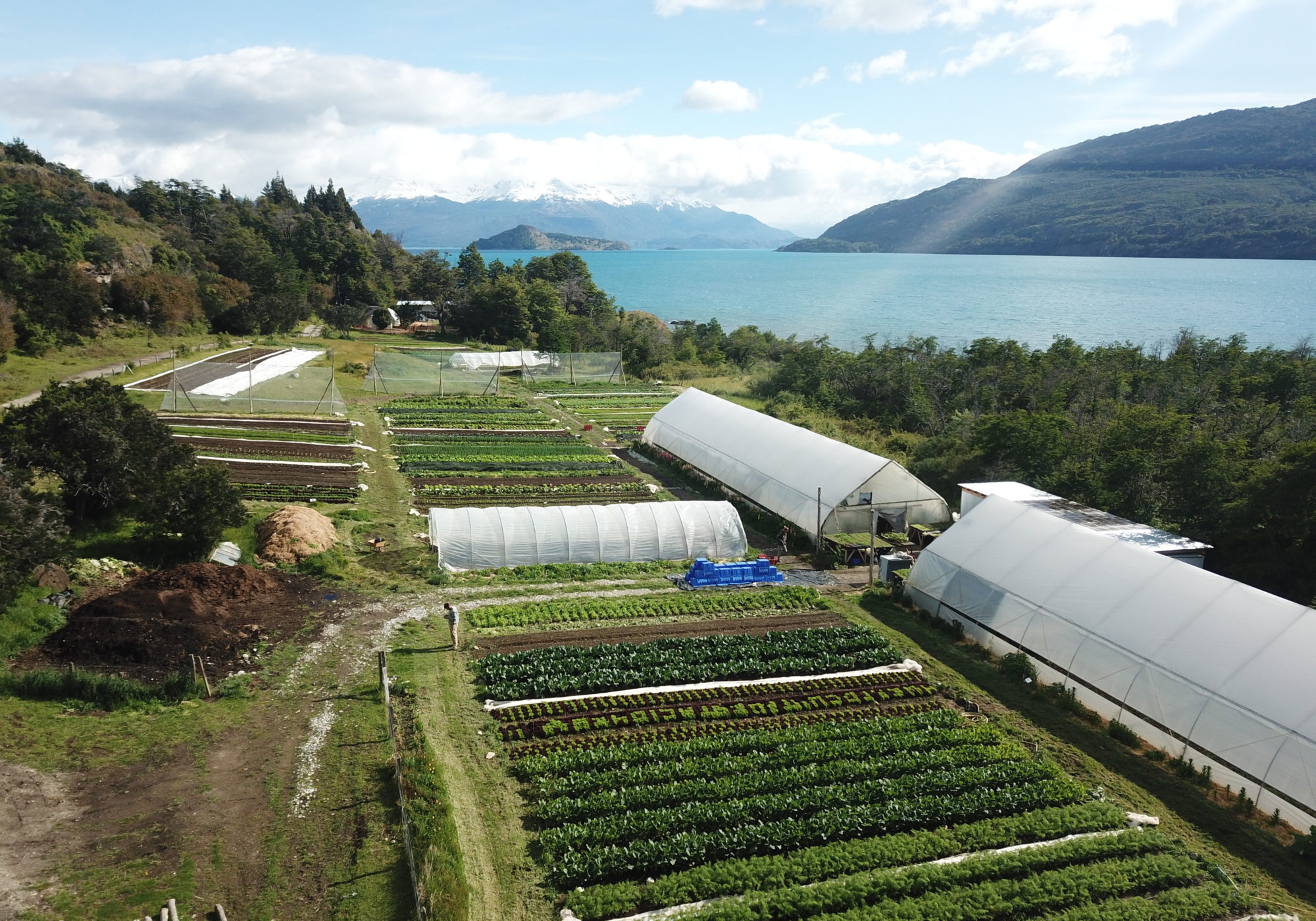 Huerto Cuatro Estaciones: Agricultura biontensiva en la Región de Aysén