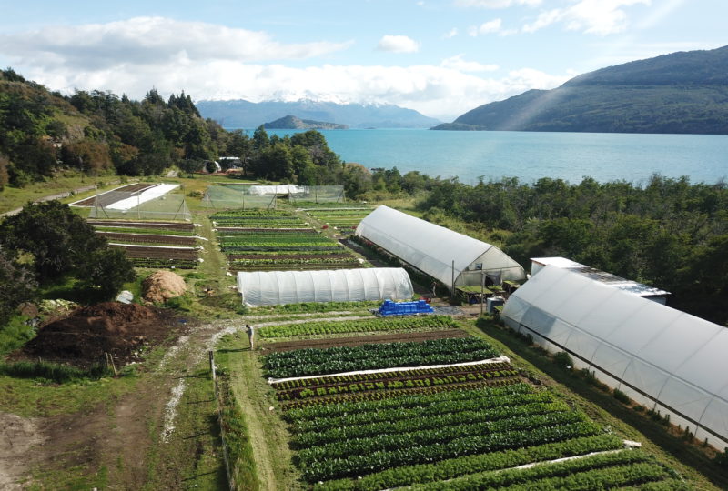 Huerto Cuatro Estaciones: Agricultura biontensiva en la Región de Aysén