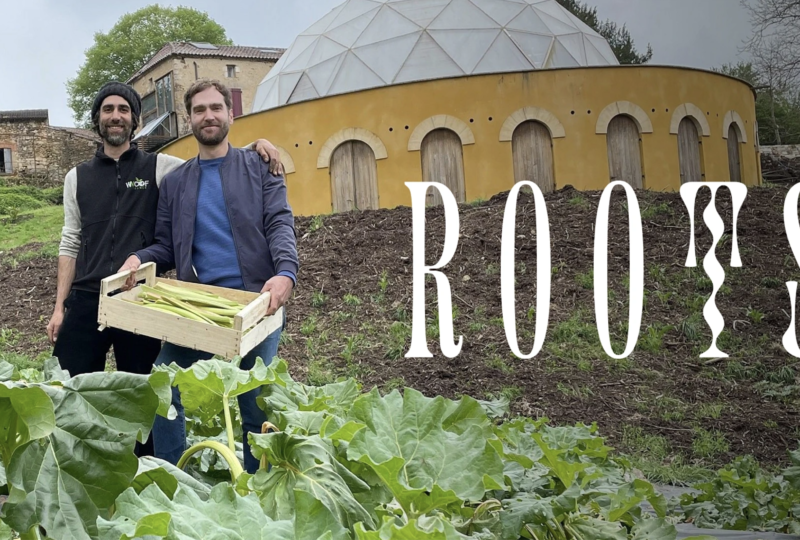 Roots: cómo salvar la tierra