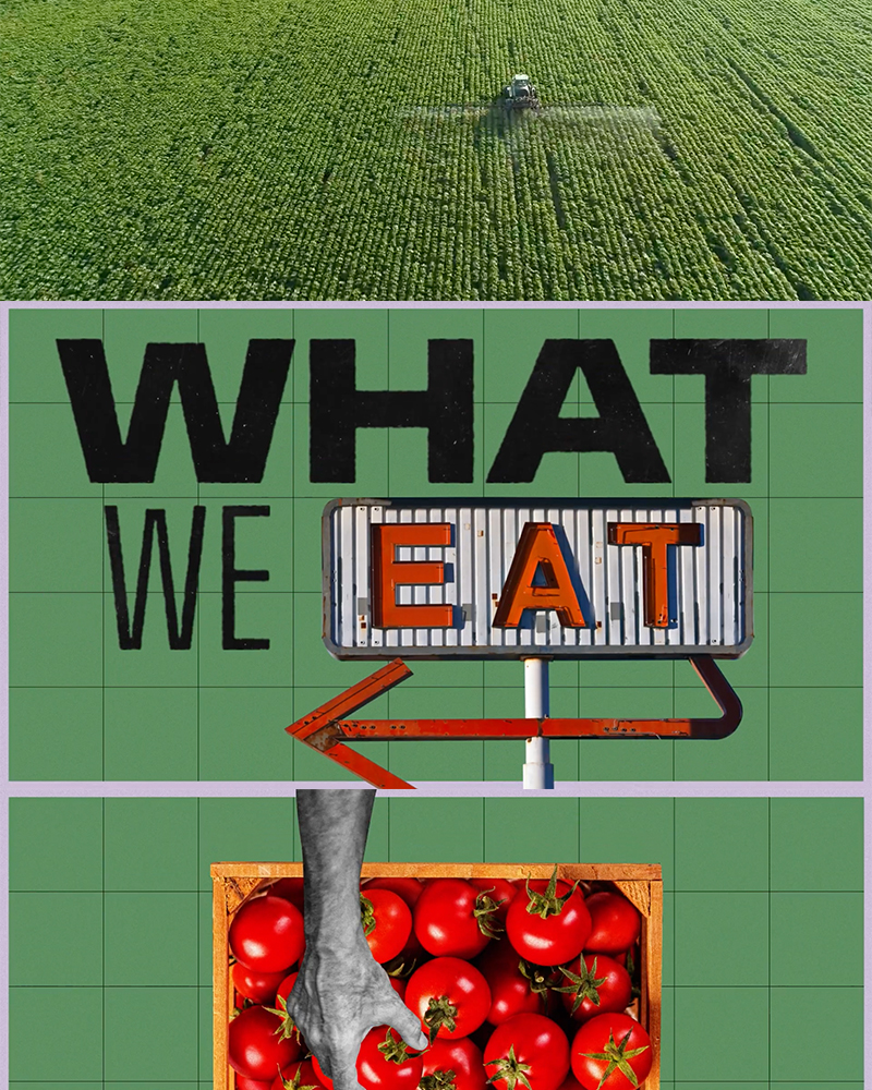 What we eat