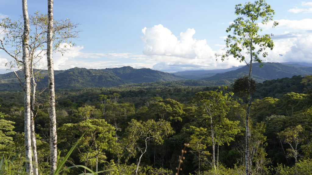Chakras Amazonas Ecuatorianos, Foto de FAO