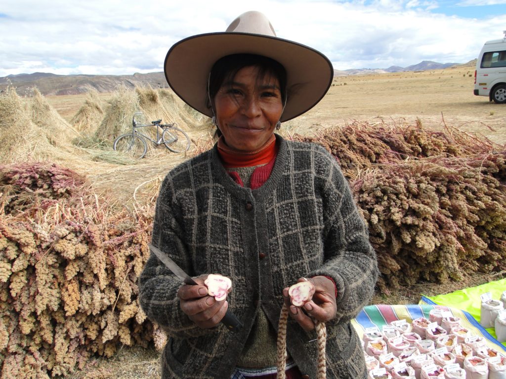 Productora de papas en las montañas de Perú, foto de FAO