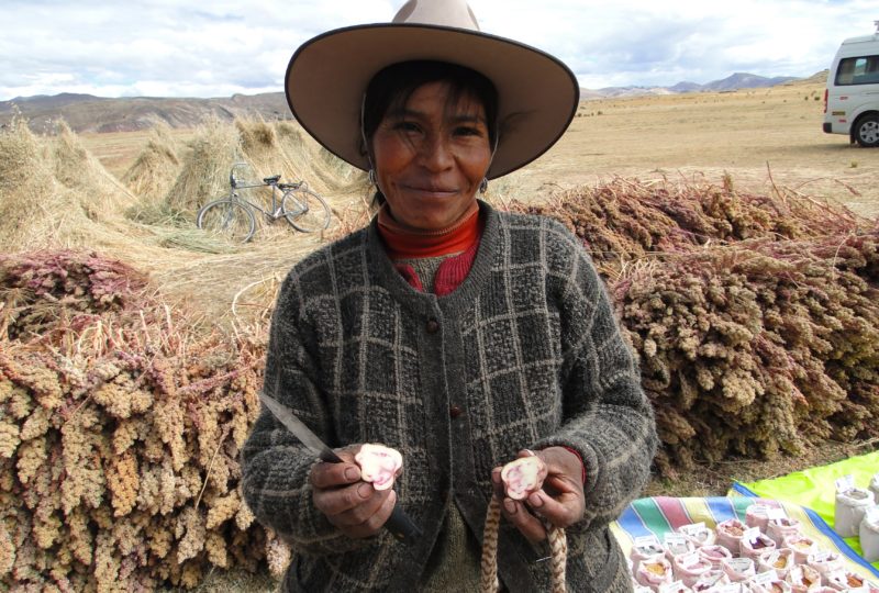 Sistemas Alimentarios Indígenas: una muestra de resiliencia y biodiversidad alimentaria